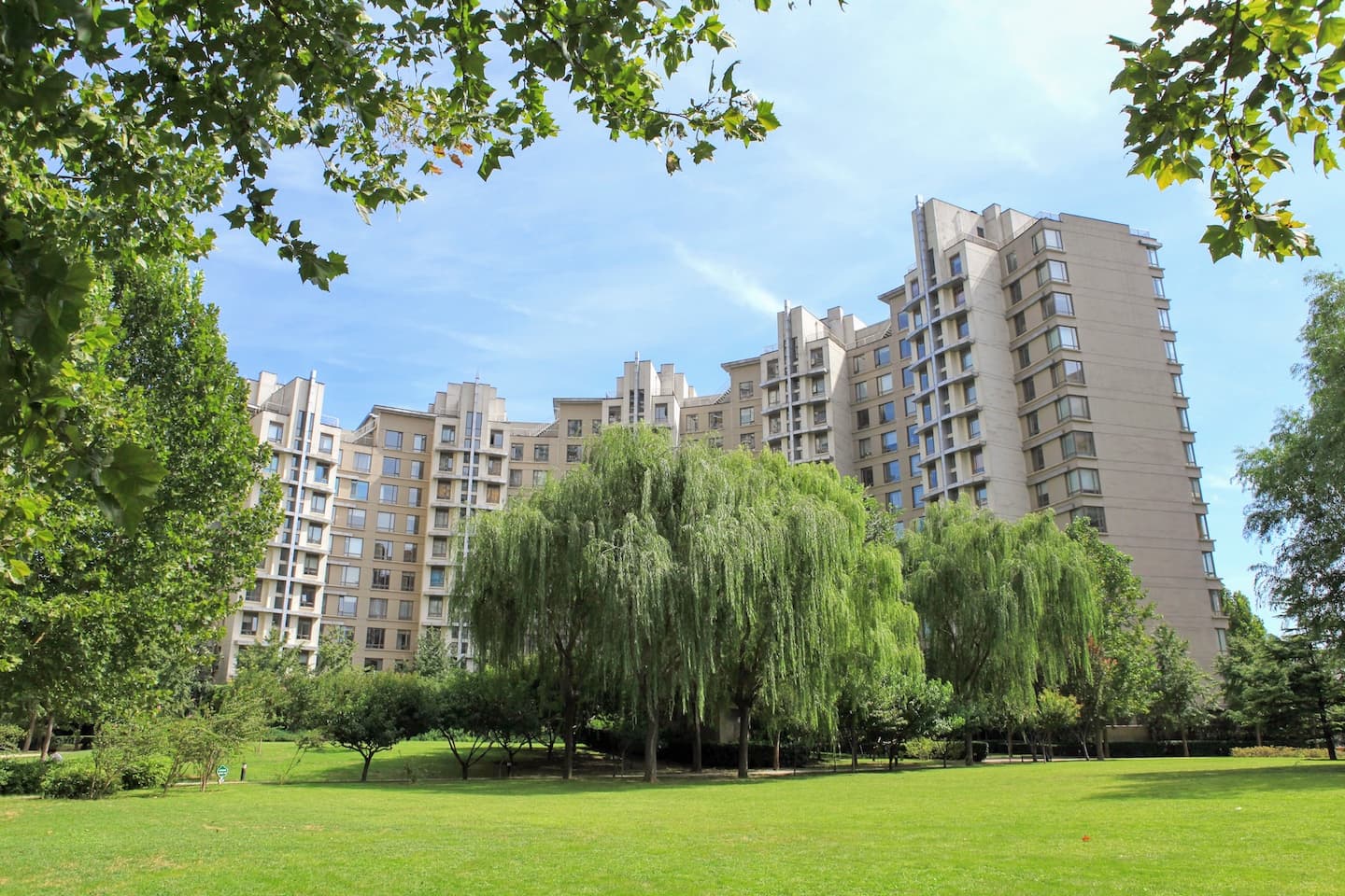 公园大道 5 号楼